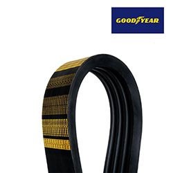 Image Banded Belt